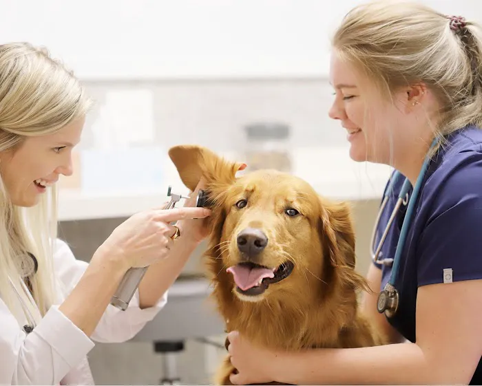 Pet Health Center 1