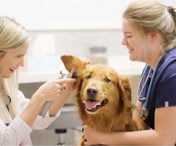 Pet Health Center