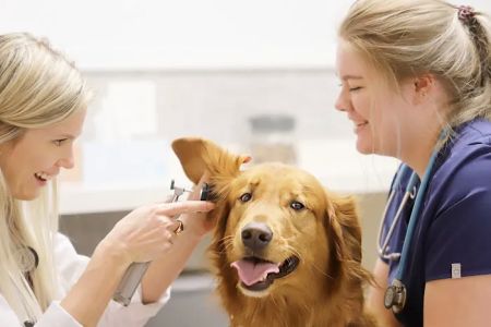Pet Health Center