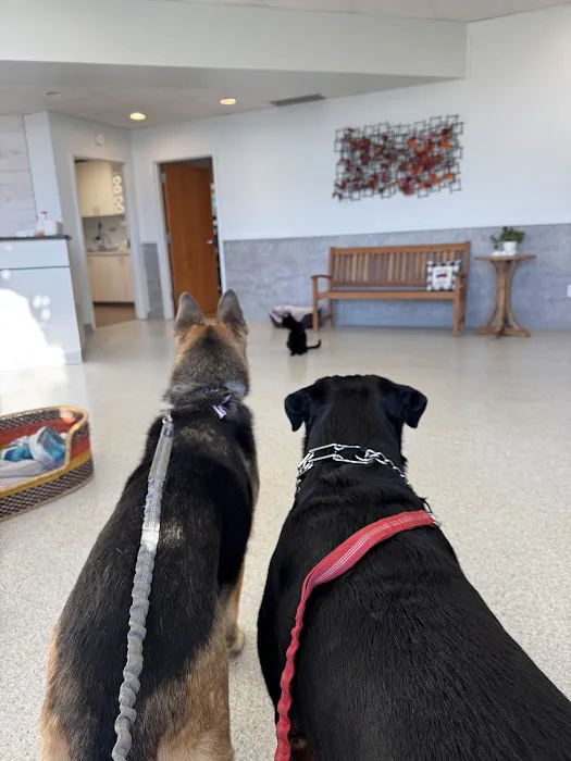 Pet Health Center 6