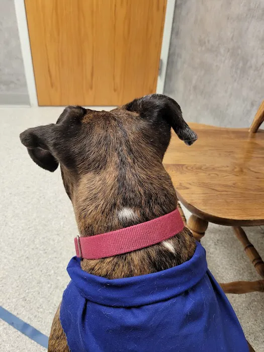 Pet Health Center 4