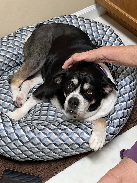 Pet Health Center 10