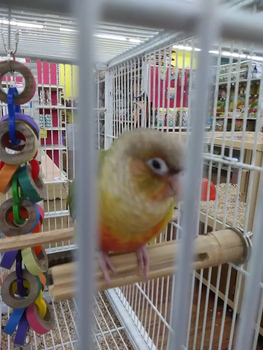 Pet Supermarket 12