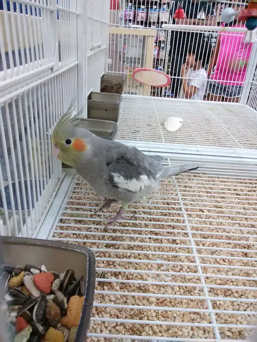 Pet Supermarket 12