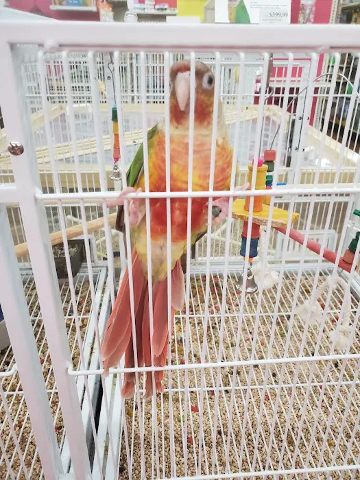 Pet Supermarket 12