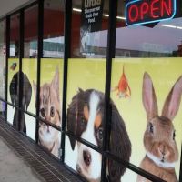 Pet Supermarket ico