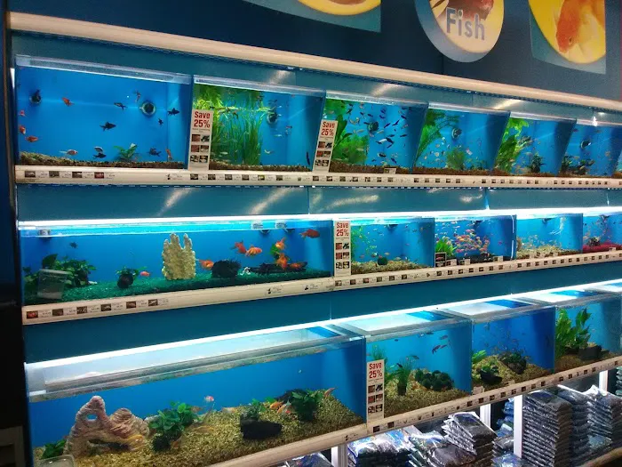 Pet Supermarket 12