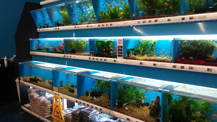 Pet Supermarket 12