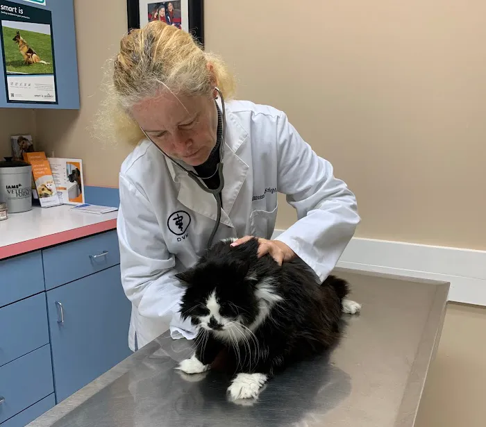 Vet Stop Animal Hospital 6