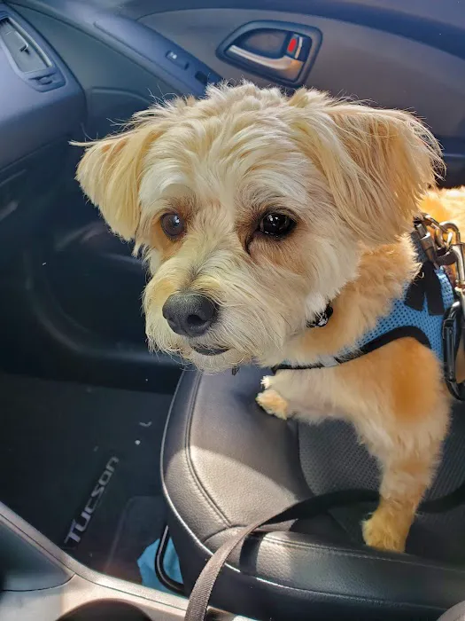 Vet Stop Animal Hospital 3