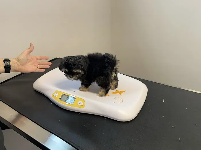Vet Stop Animal Hospital 1