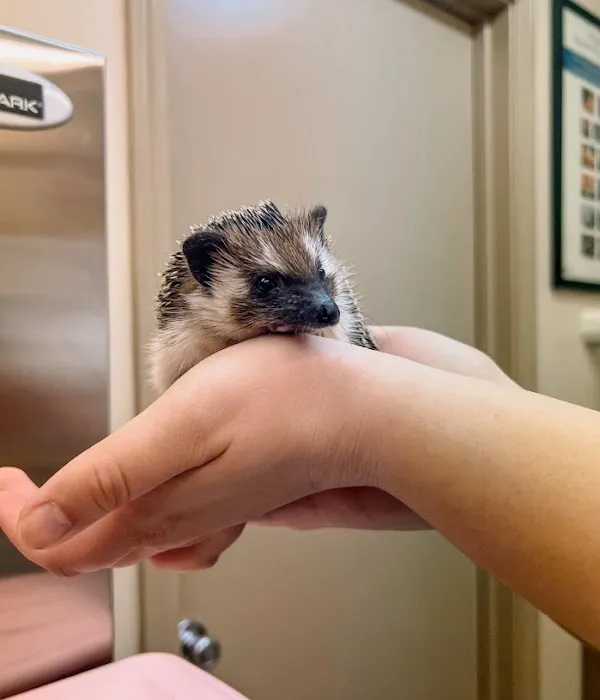 Harvester Animal Clinic 12