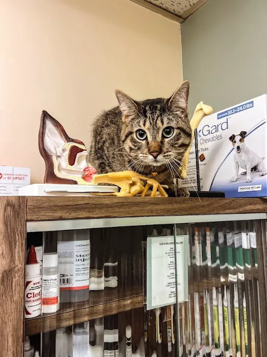 Harvester Animal Clinic 12