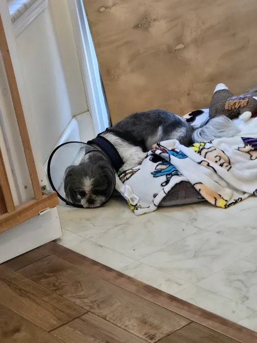 Animal Emergency Clinic 12