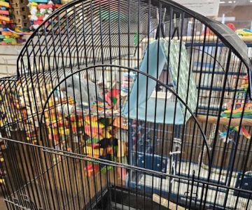 The Bird Store
