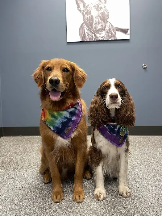 Hawk Ridge Animal Hospital 12