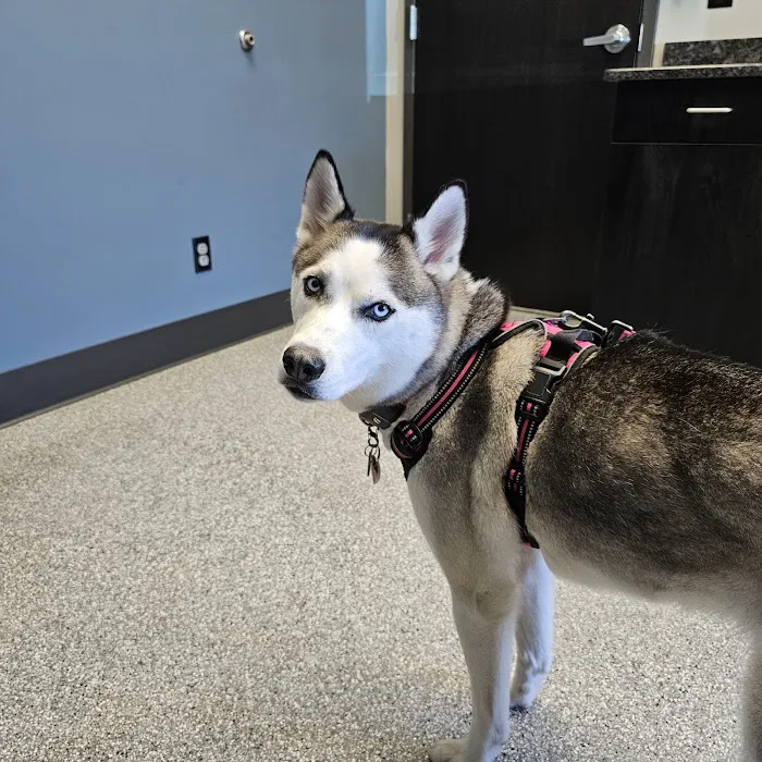 Hawk Ridge Animal Hospital 12