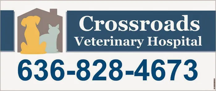 Crossroads Veterinary Hospital 5