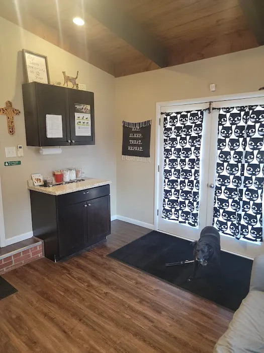 Crossroads Veterinary Hospital 3