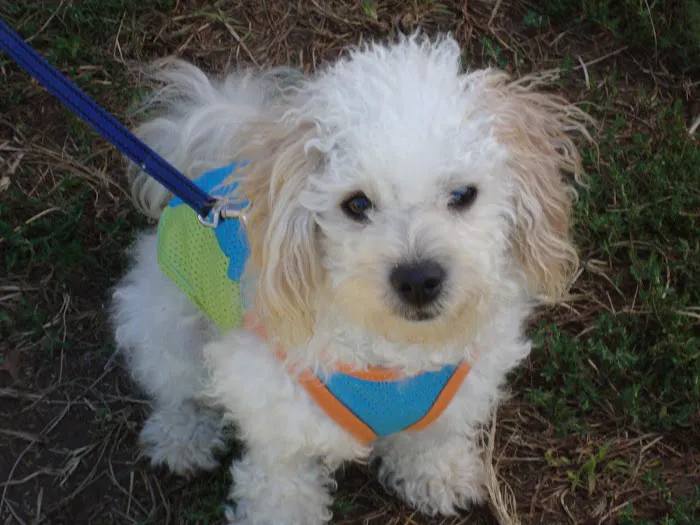 Spencer Creek Animal Hospital 12
