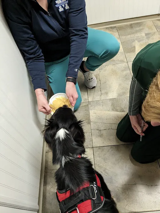 Spencer Creek Animal Hospital 12