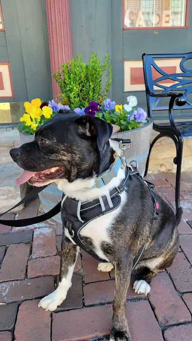 Spencer Creek Animal Hospital 12