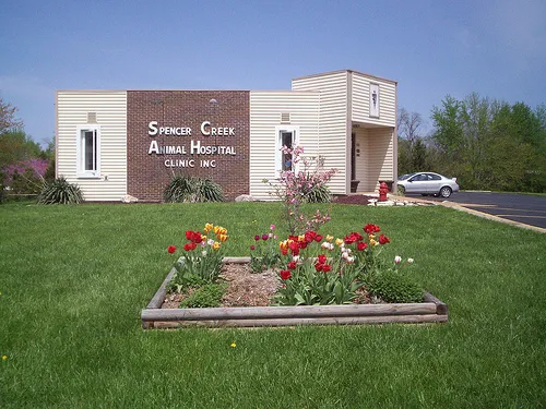 Spencer Creek Animal Hospital 12