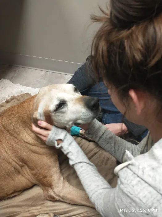 Spencer Creek Animal Hospital 12