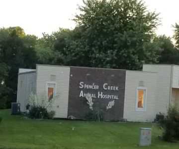 Spencer Creek Animal Hospital