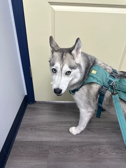Pet Urgent Care of St Peters 12
