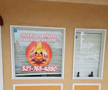 Phoenix Playhouse Boarding and Bird Store