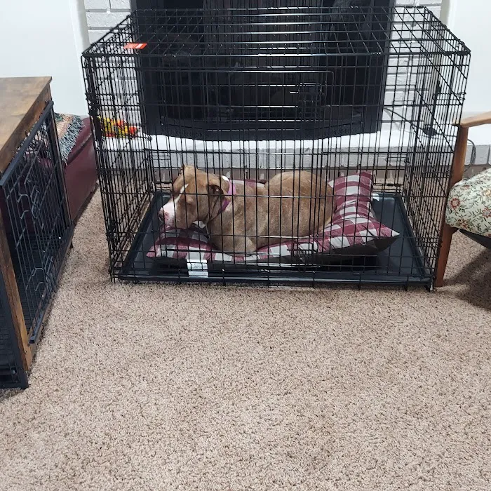 Cave Springs Pet Hospital 12