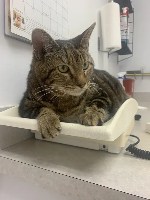 Cave Springs Pet Hospital 12