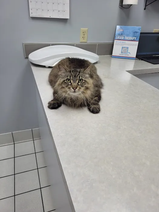 Cave Springs Pet Hospital 12