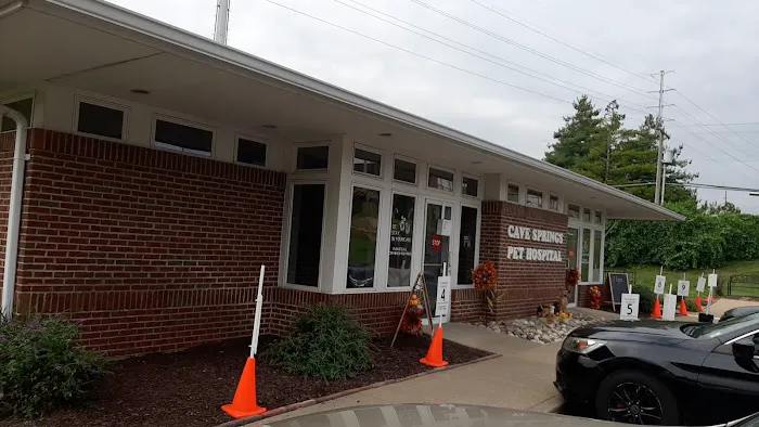 Cave Springs Pet Hospital 12