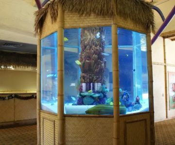 SeaClear Aquarium Management