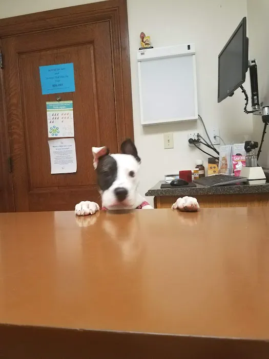 Bogey Hills Animal Hospital 12