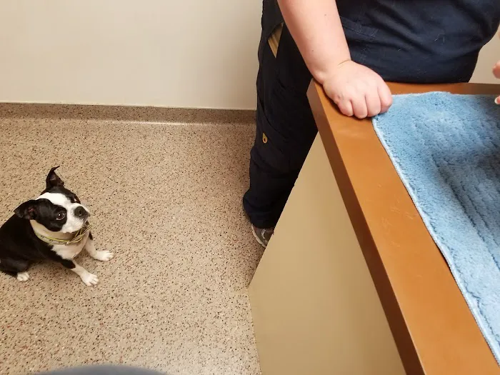 Bogey Hills Animal Hospital 12