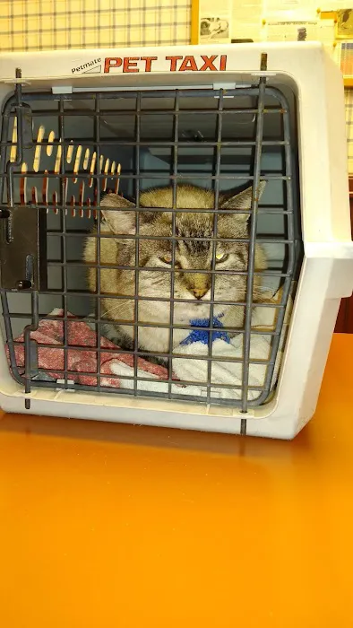Hepler Animal Hospital 3