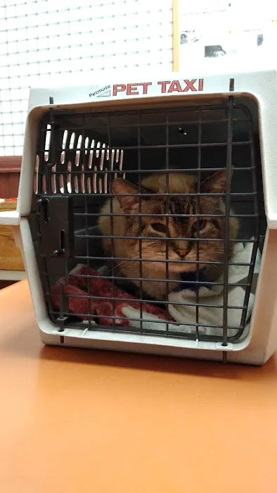 Hepler Animal Hospital 2
