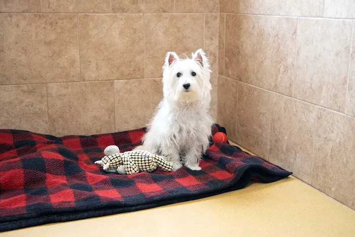 Fox Creek Veterinary Hospital 10