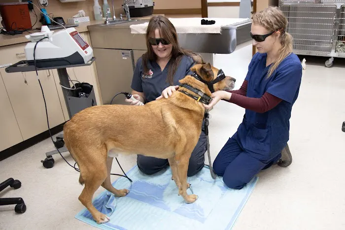 Fox Creek Veterinary Hospital 6