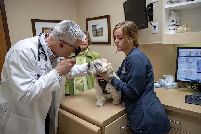 Fox Creek Veterinary Hospital 8