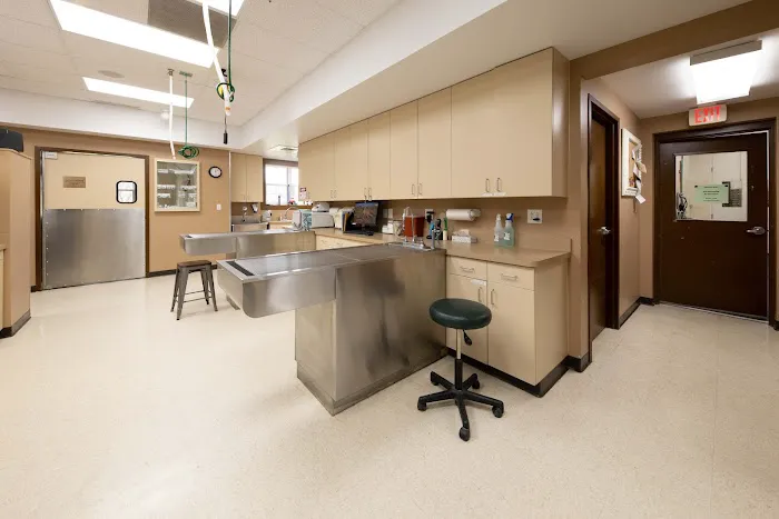 Fox Creek Veterinary Hospital 7