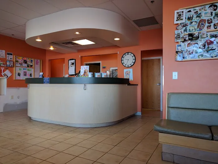 Hillside Veterinary Hospital 1