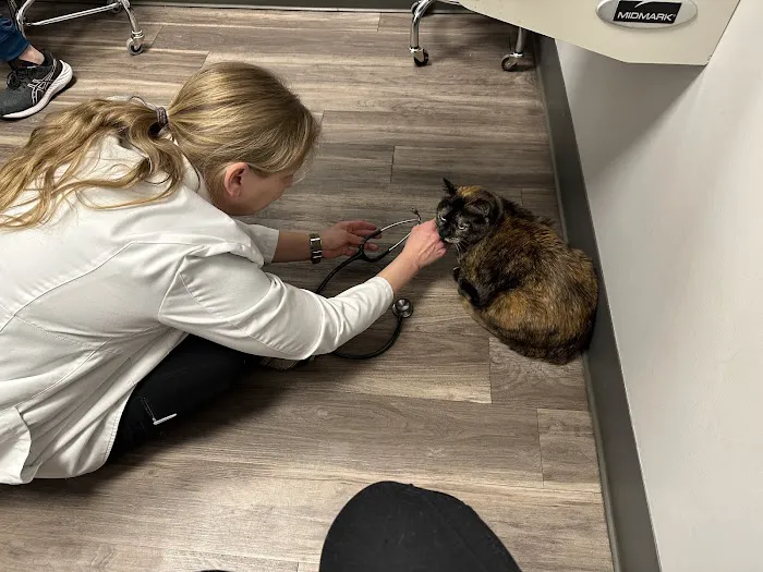 Hillside Veterinary Hospital 5