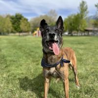 Granite Veterinary Specialists ico