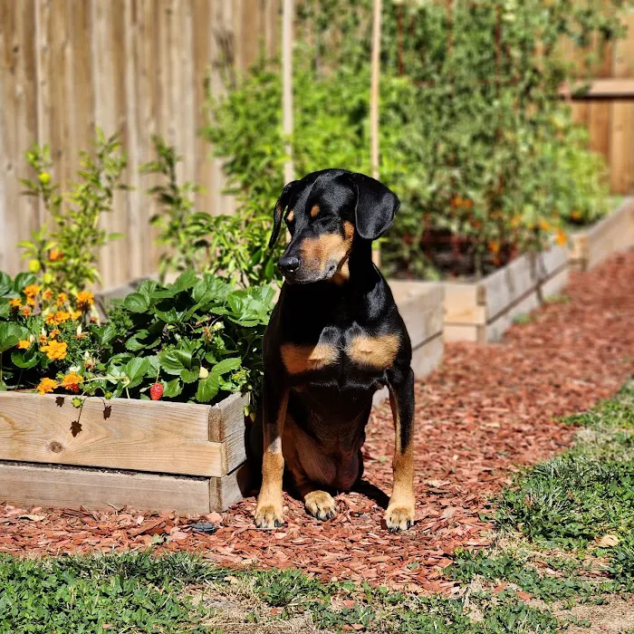 Granite Veterinary Specialists 6