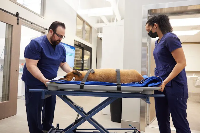 Sage Veterinary Imaging - Sandy 1