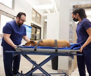 Sage Veterinary Imaging - Sandy